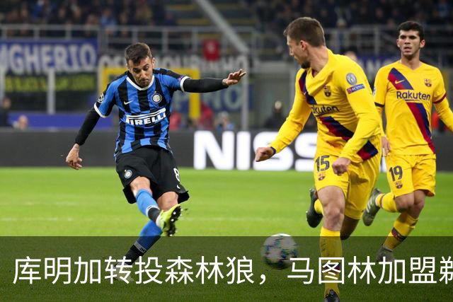 库明加转投森林狼，马图林加盟鹈鹕：两笔自由球员签约同日落定